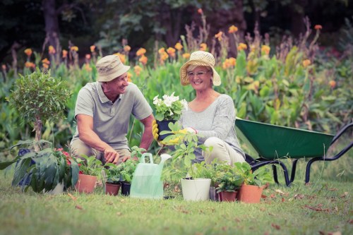 Healthy green lawn care in a Redbridge garden