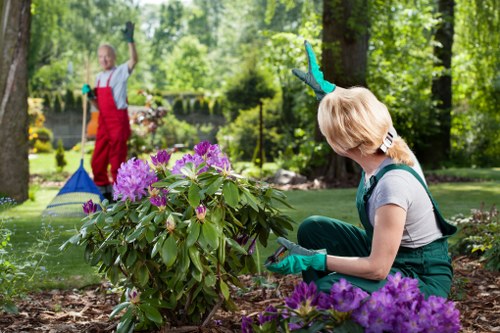 Local garden design and planting work for a Redbridge property