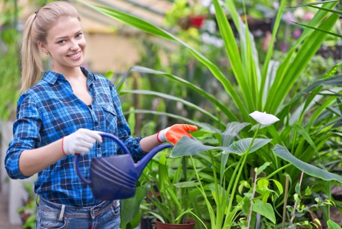 Garden clearance and landscaping pricing in Redbridge with transparent cost breakdown