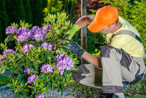 Landscapers in Redbridge creating a garden design