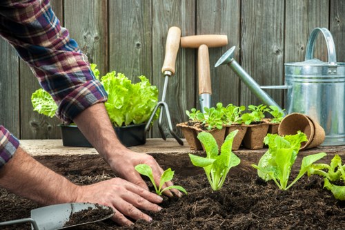 Decorative image representing cookie use on a landscaping website