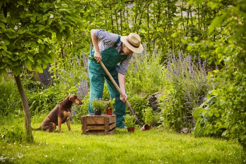 Landscape gardeners designing a front garden in Redbridge