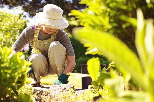 Soft landscaping with flowers and shrubs in a Redbridge garden