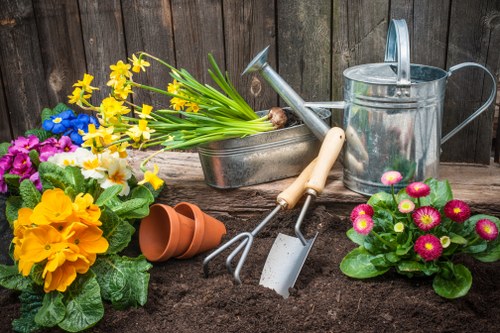 Planning a shed installation in a Redbridge garden