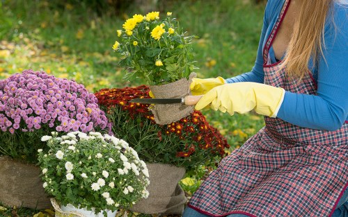 Free quote policy for landscaping and rubbish removal services in Redbridge