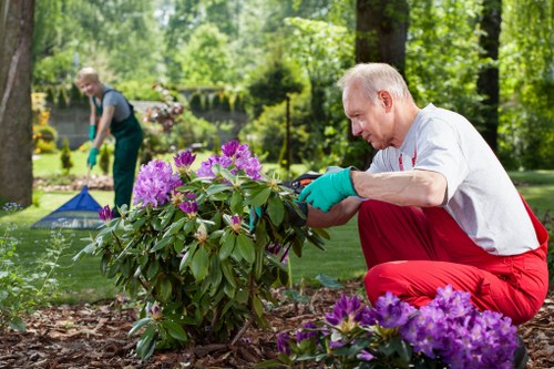 Accessibility request support for Redbridge landscaping services