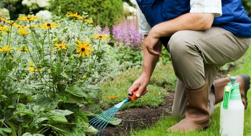 Local landscapers shaping a modern garden layout