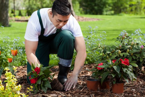 Stylish layered flower bed design in Redbridge