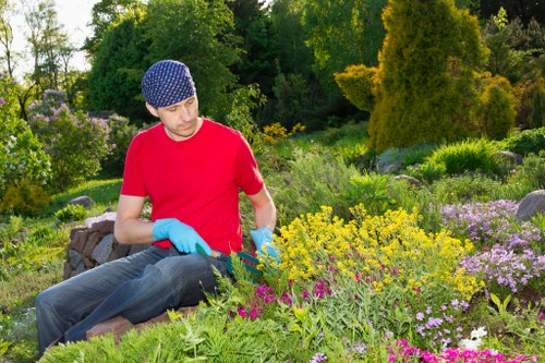 Seasonal lawn mowing schedule for Redbridge gardens