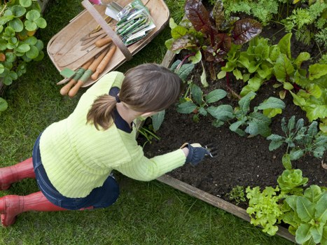 Redbridge landscapers finishing a landscaped garden