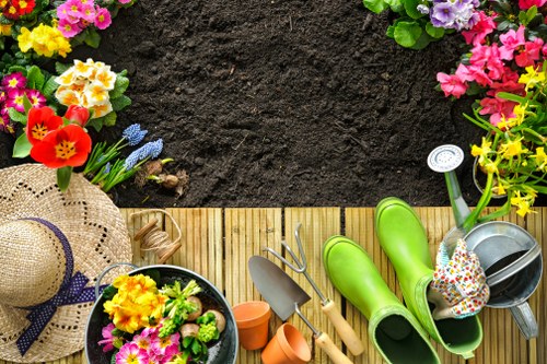 Professional hedge maintenance in Redbridge backyard