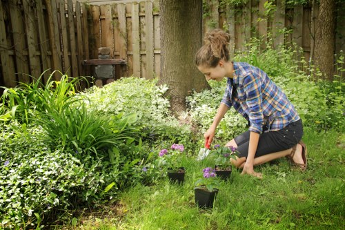 Seasonal lawn maintenance and mowing in Redbridge