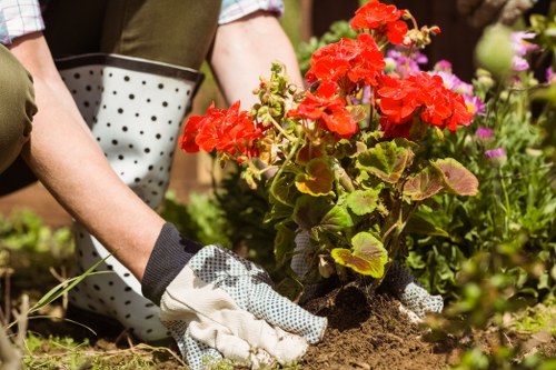 Professional landscapers installing a garden feature