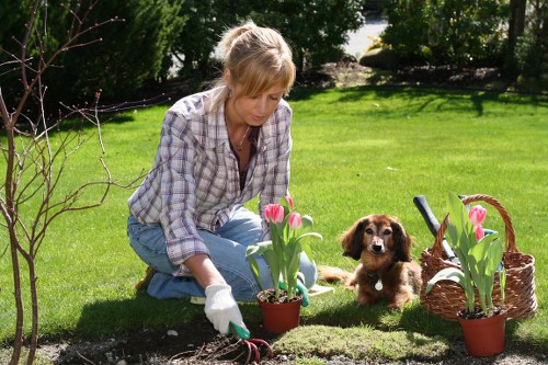 Landscapers Redbridge commitment to ethical operations and human rights