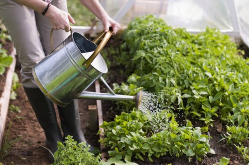 Responsible garden waste removal and cleanup in Redbridge